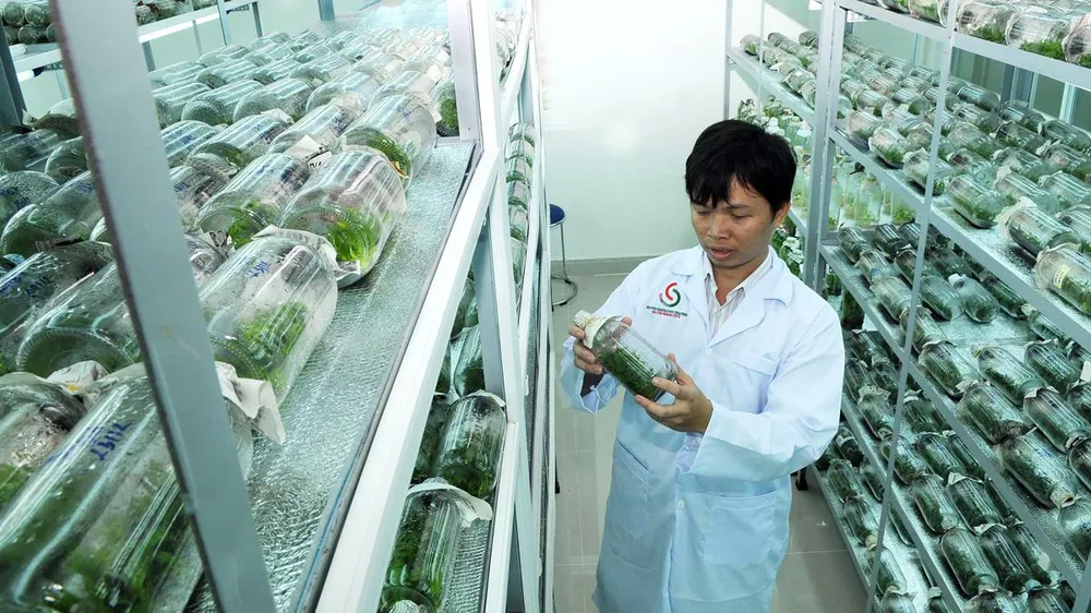 Nghiên cứu phải có địa chỉ ứng dụng