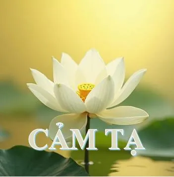 Cảm tạ