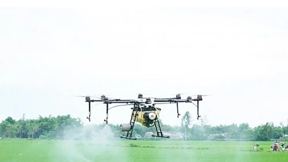 Áp dụng thiết bị bay không người lái để phun xịt thuốc ở cánh đồng mẫu của Đề án 1 triệu ha lúa chất lượng cao ở huyện Tân Hưng