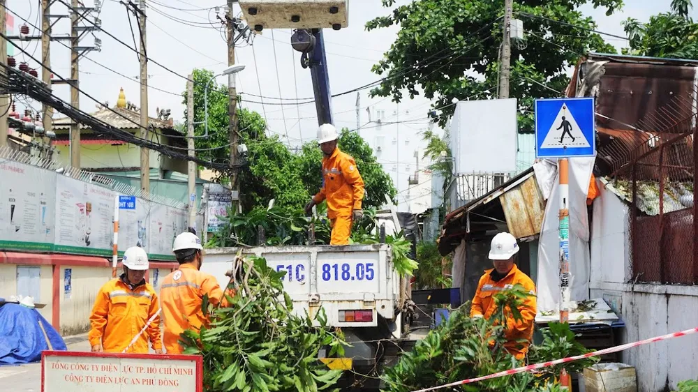 Nhân viên ngành điện TPHCM phối hợp đơn vị quản lý cây xanh thực hiện mé nhánh, tỉa cành, đề phòng cây xanh ngã vào lưới điện
