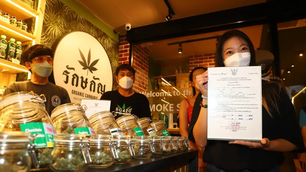 Một cửa hàng bán cần sa ở đường Khaosan, Bangkok. Ảnh: Bangkok Post