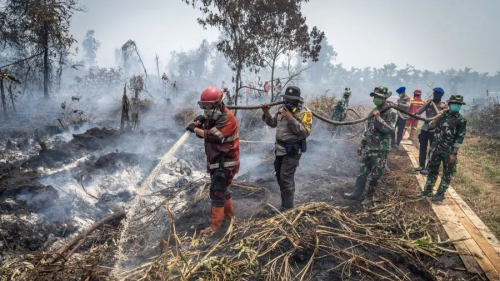 Indonesia đóng cửa 9 vườn quốc gia do cháy rừng