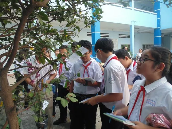 Chương trình “tiết học ngoài nhà trường” phải được thông qua trước 30 ngày thực hiện