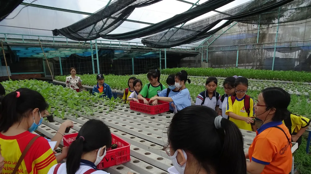 Học sinh hào hứng trải nghiệm trồng rau, chăm sóc thú qua Cuộc thi “Văn hay chữ tốt” do quận Tân Bình tổ chức 