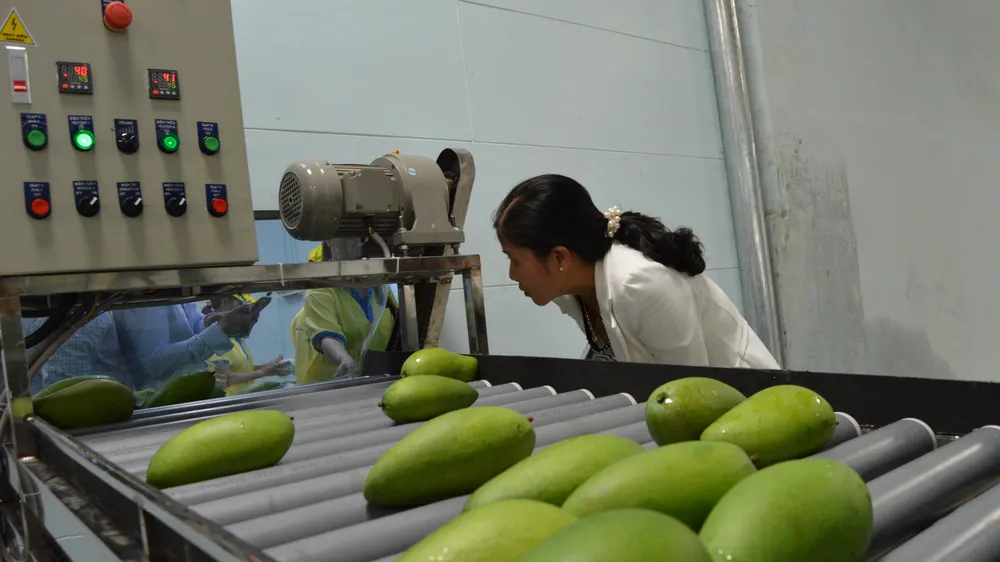 ĐBSCL được đầu tư hơn 22 tỷ USD từ nguồn vốn FDI