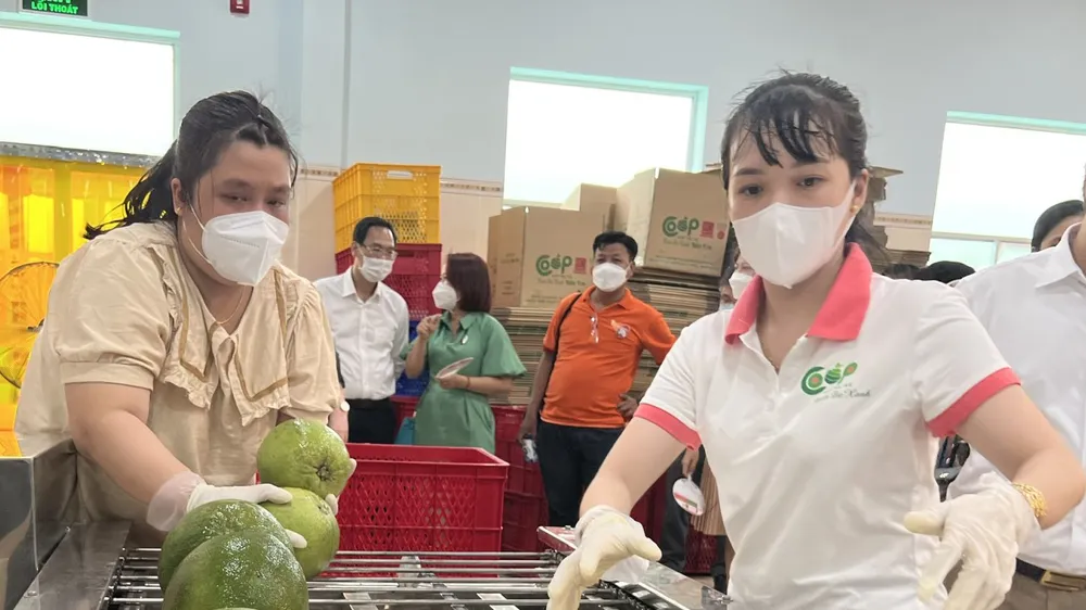 Bến Tre khánh thành Khu phức hợp đa chức năng Hợp tác xã Bưởi da xanh
