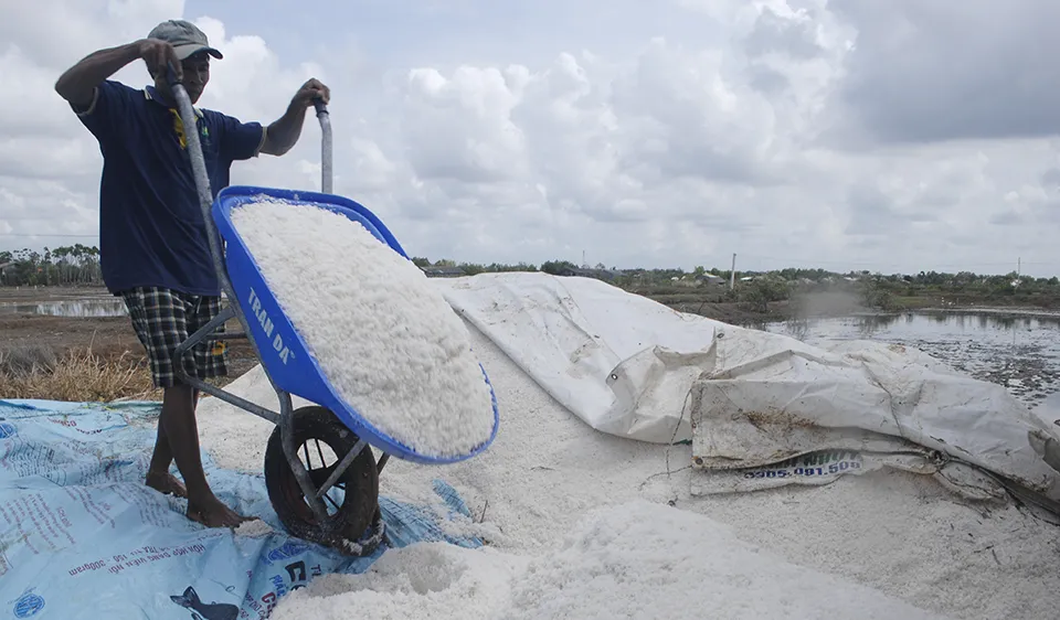 Muối có giá cao nhưng sản lượng không cao so với mọi năm