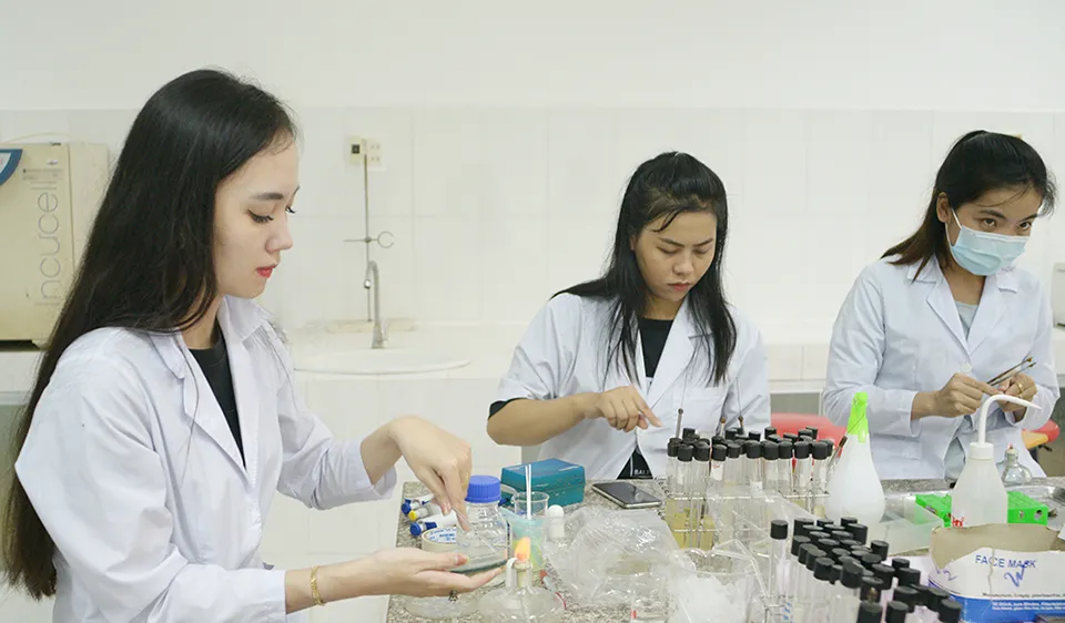 Vĩnh Long hỗ trợ 600 triệu đồng thu hút nhân lực chất lượng cao. Ảnh: TÍN HUY