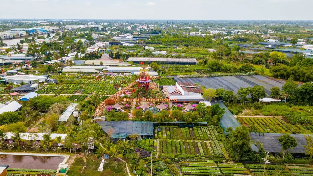 Làng hoa Sa Đéc nhìn từ trên cao