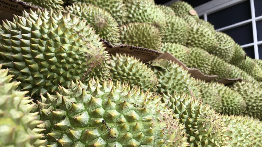 Bộ trưởng Bộ Nông nghiệp và Môi trường: Sẽ có thông tư siết mã số sầu riêng