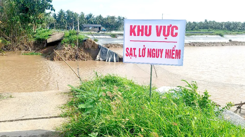 Vĩnh Long công bố tình huống khẩn cấp sạt lở đê bao Bắc rạch Trà Cú