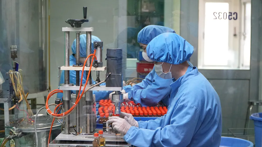 Tín dụng xanh tăng tốc: Tạo chuyển động đầu tư mới