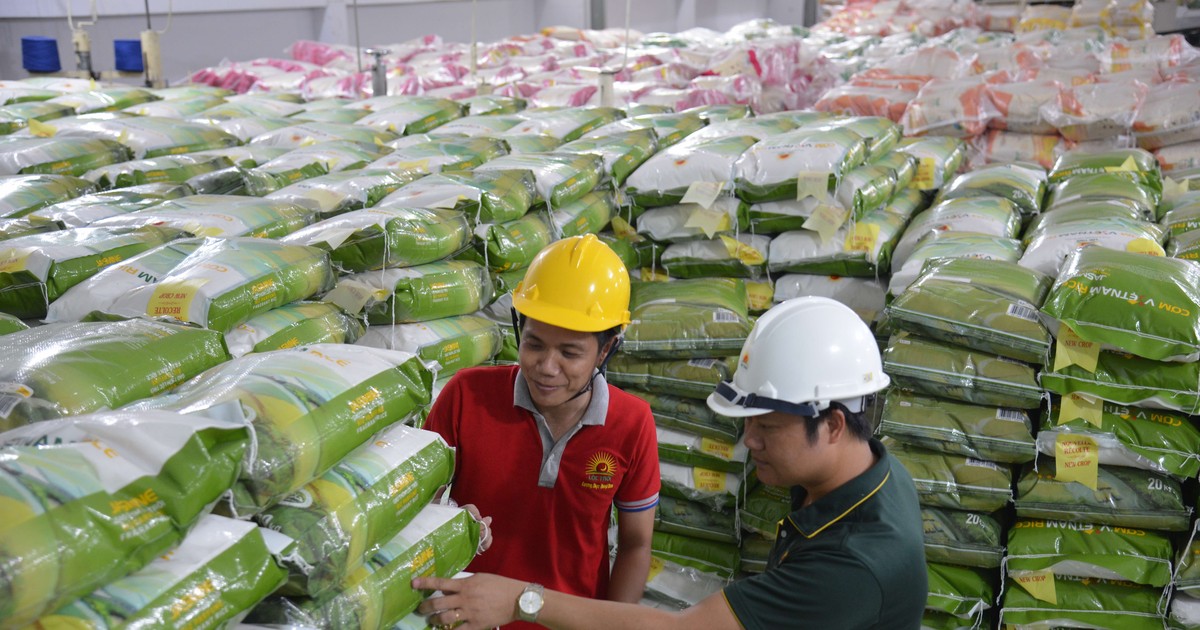 Giá gạo xuất khẩu của Việt Nam tăng 40%