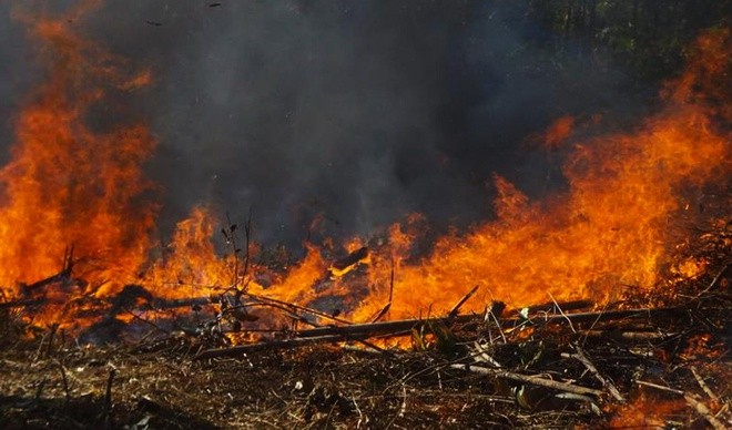 Cháy rừng lan rộng ở Australia phá hủy nhiều nhà cửa  Môi trường   Vietnam VietnamPlus