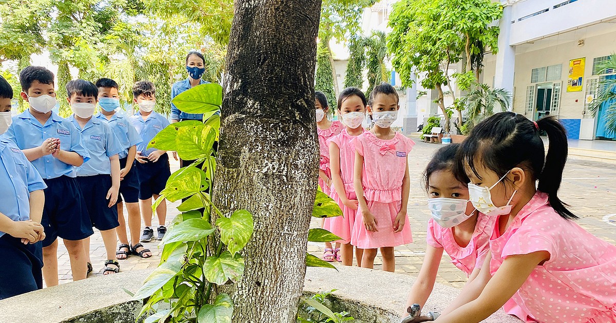 Trường MN Ninh Dân xây dựng vườn cổ tích cho bé