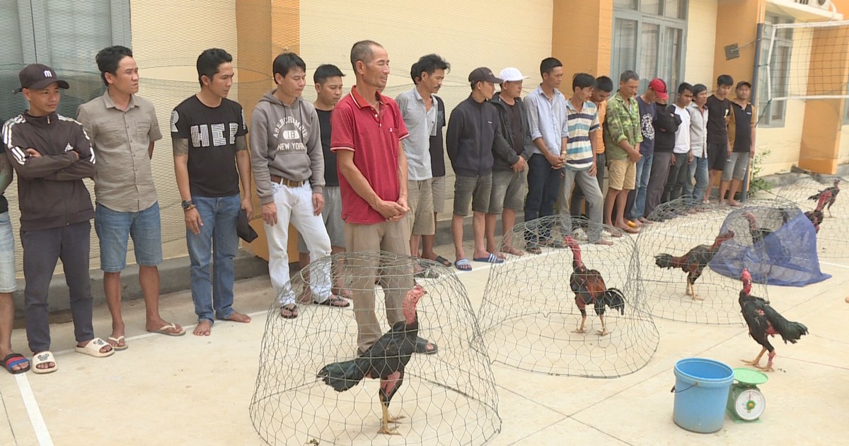 Triệt phá trường gà ở Đắk Lắk