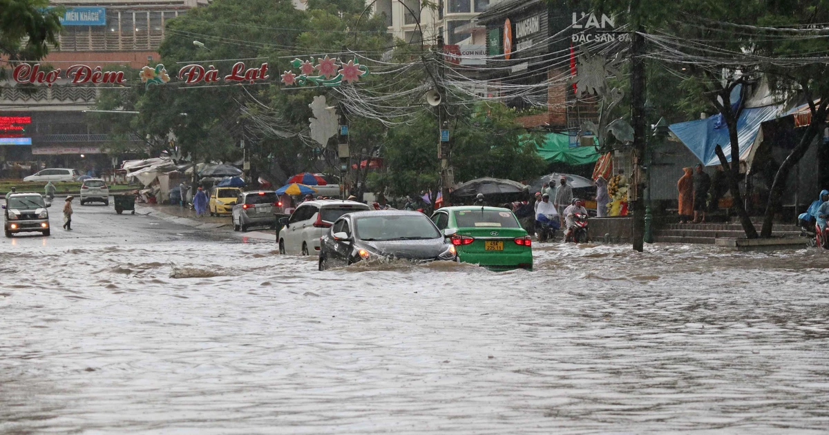 Trước khi xảy ra nạn phá rừng, nhà kính nở rộ, Đà Lạt đã bị lũ ống ...