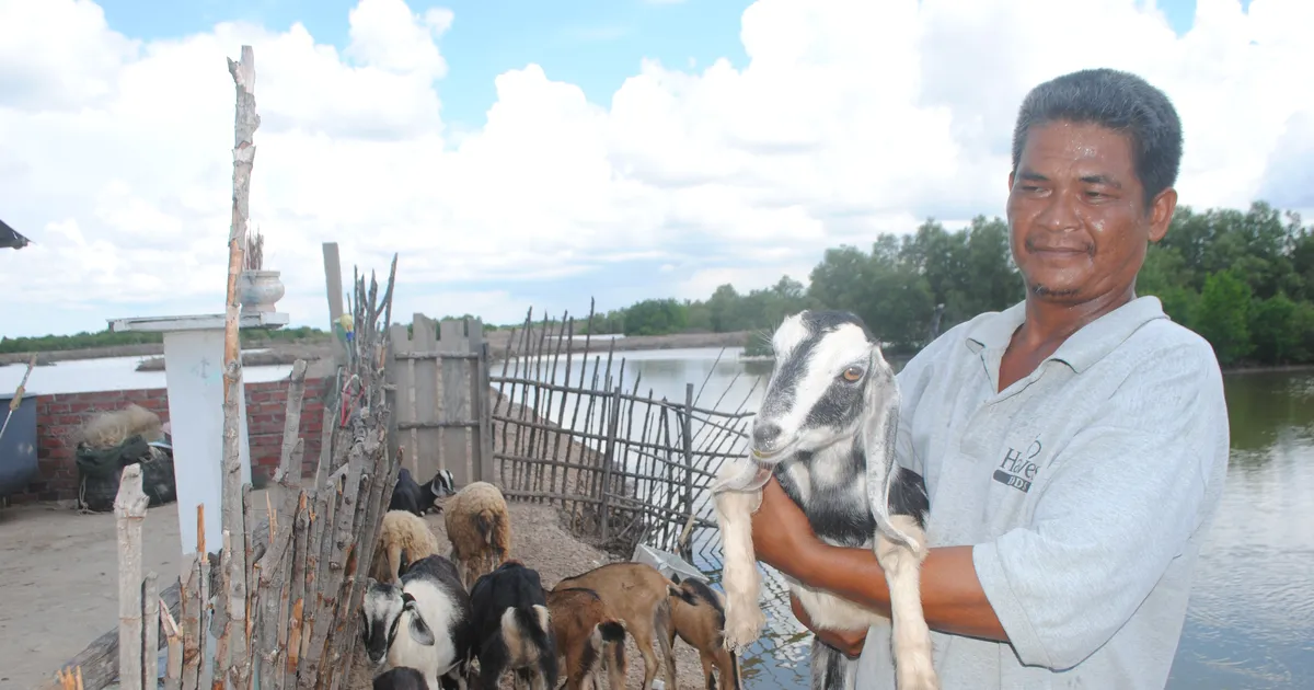 Cà Mau: Nhiều thiếu sót, vi phạm trong thực hiện Chương trình Mục tiêu quốc gia