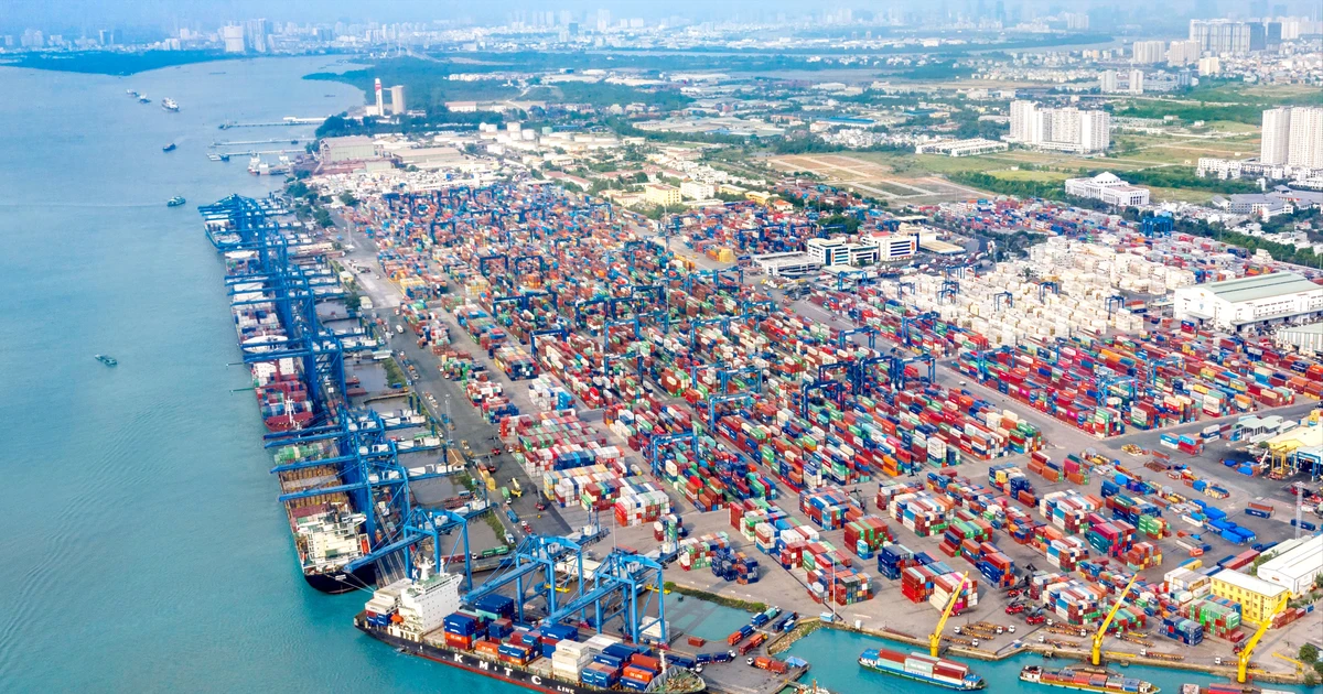 Tân cảng Sài Gòn đóng góp 16% cho ngân sách TPHCM