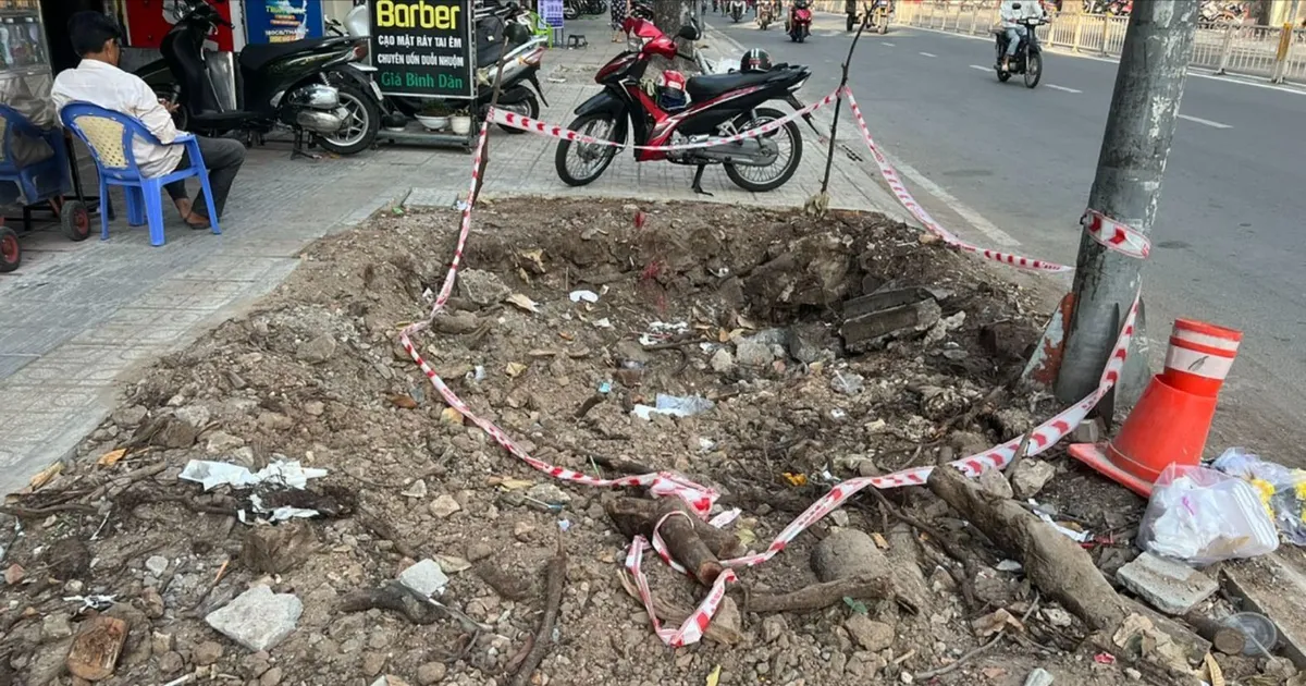 Làm mới vỉa hè, bức tử cây xanh: Đốn hạ 34 cây, xâm hại 324 cây trên địa  bàn quận 5 | BÁO SÀI GÒN GIẢI PHÓNG