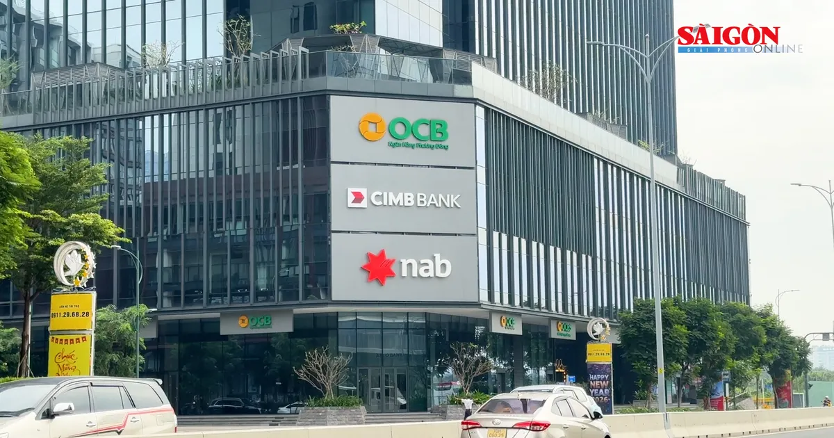 TPHCM chạy “nước rút” chuẩn bị vận hành Trung tâm Tài chính quốc tế