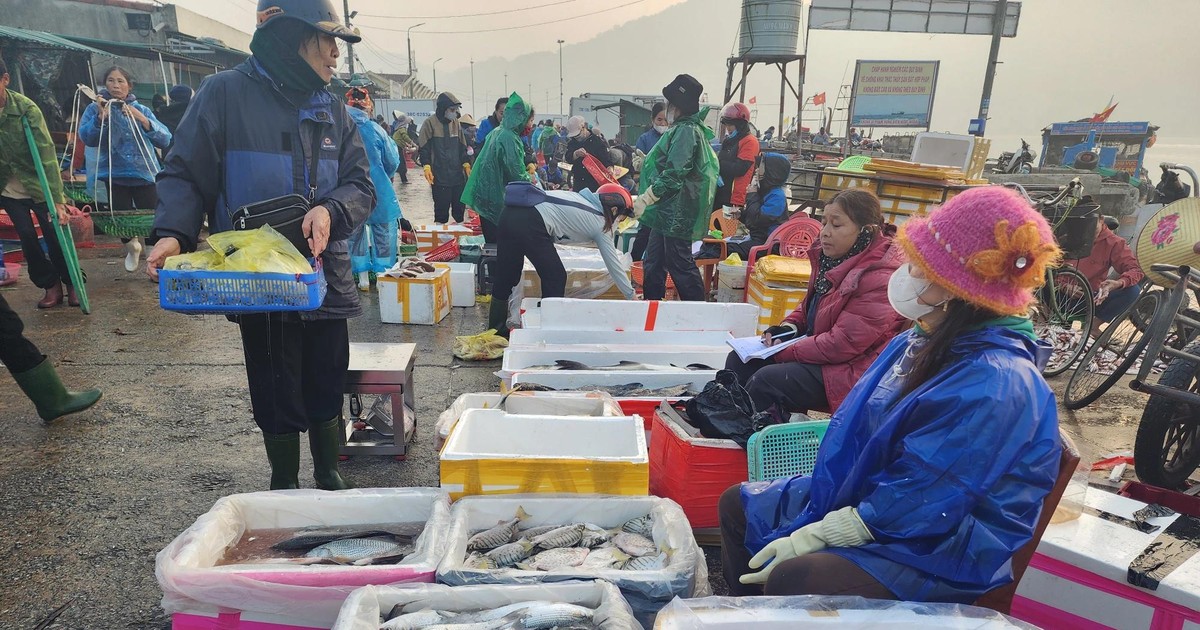 Ha Tinh’s Cua Sot Fishing Port bustling with Tet atmosphere SGGP