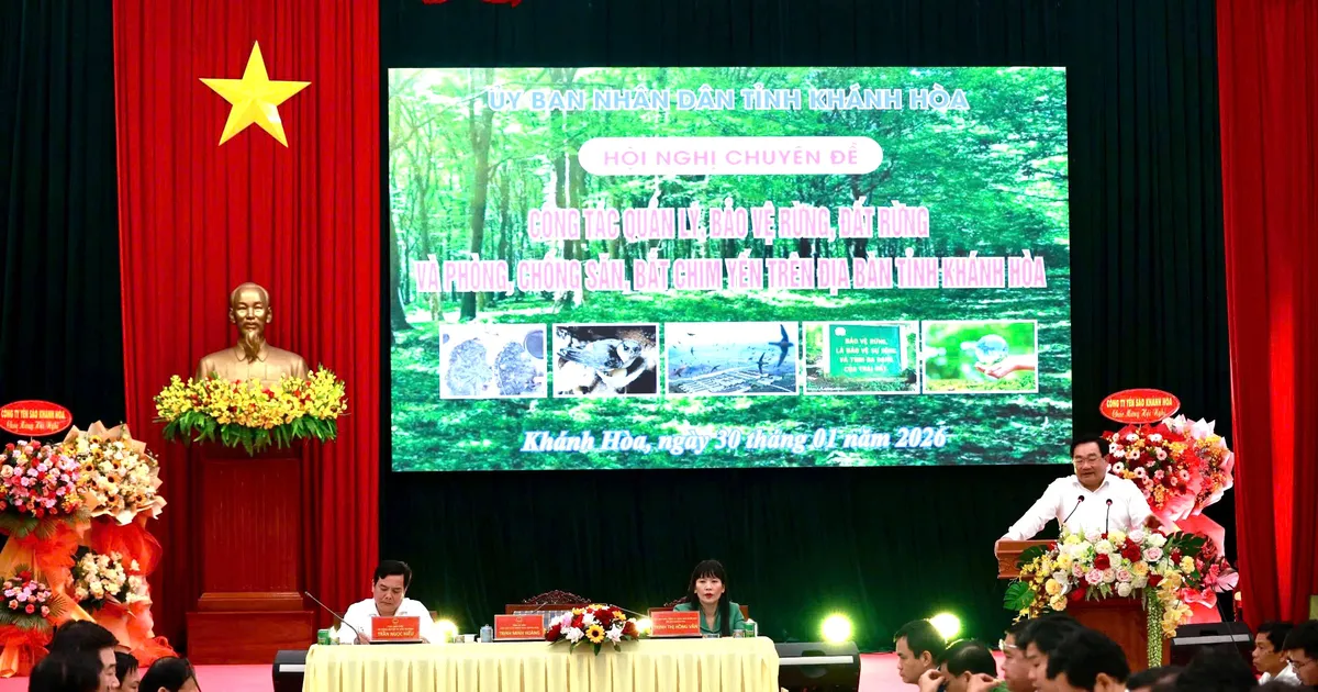 Khánh Hòa “Tuyên chiến” với nạn săn bắt chim Yến: Bảo vệ báu vật Quốc gia - BÁO SÀI GÒN GIẢI PHÓNG