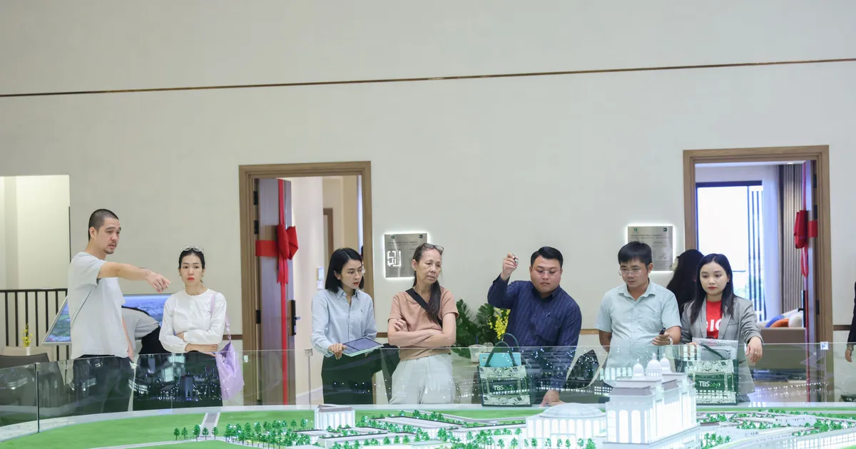 Bài viết