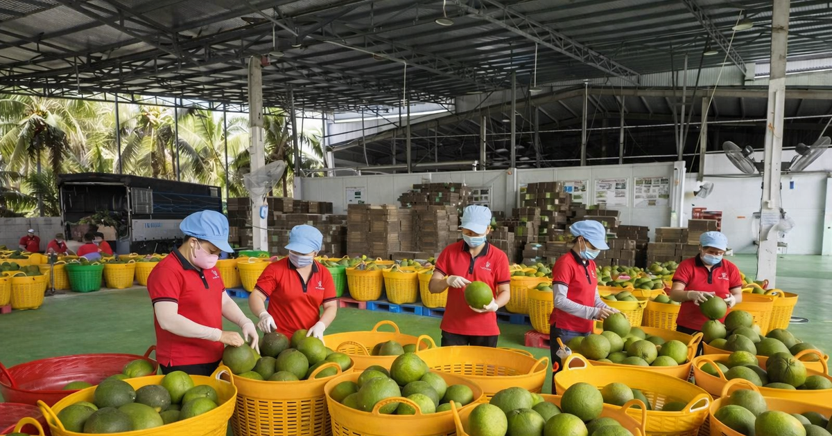 Vietnam urged to strengthen economic resilience while sustaining strong growth