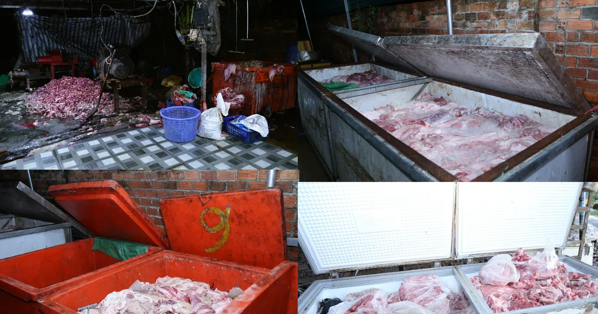 Đồng Nai: Triệt phá đường dây tiêu thụ 400 tấn heo bệnh, heo chết