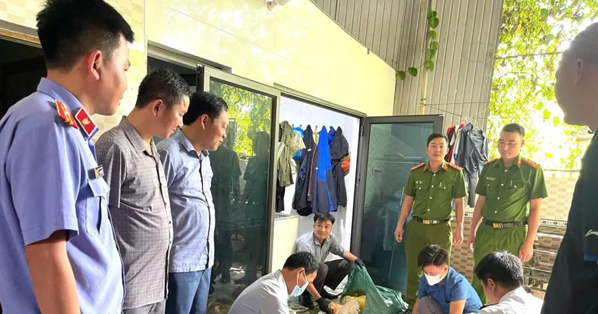 병든 돼지고기를 시중에 유통한 업자, 형사 입건 관련 이미지