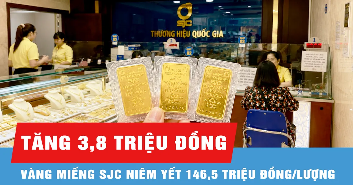 Giá vàng sáng 20/8 tăng 3,8 triệu đồng/lượng