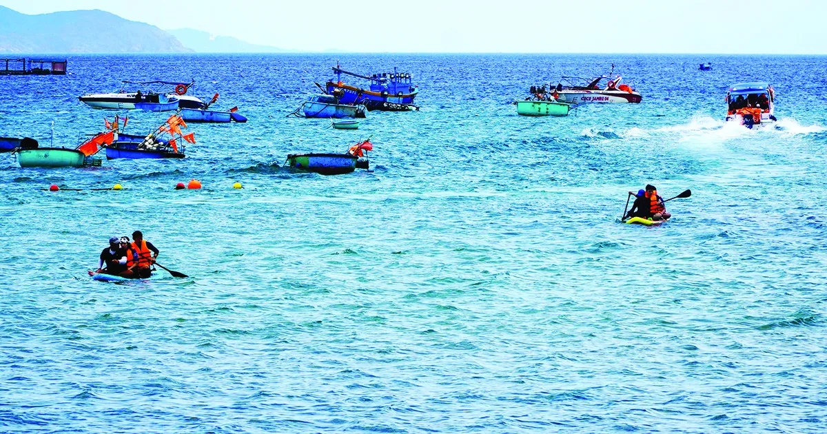 Bài viết
