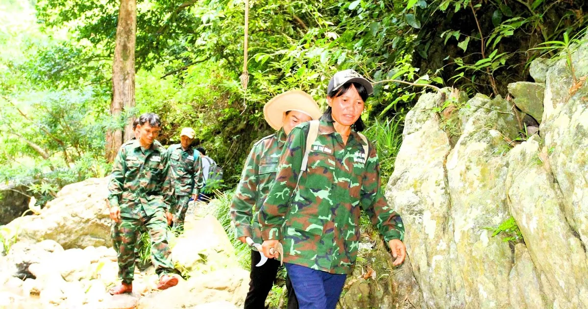 Bài viết