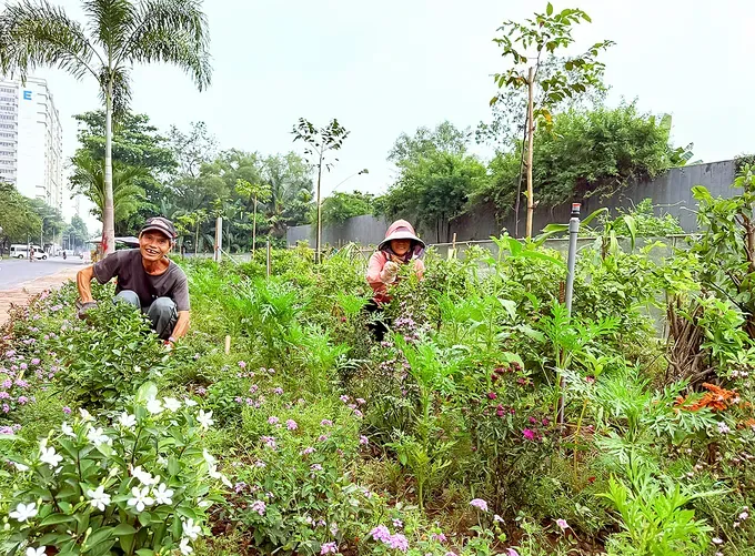 Community spirit blooms as trash-filled alleys become colorful gardens ...