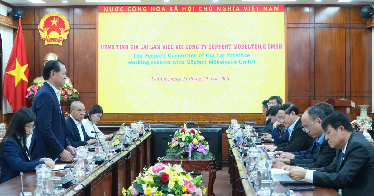 Xúc tiến dự án nhà máy gỗ công nghiệp Việt – Đức ở Gia Lai