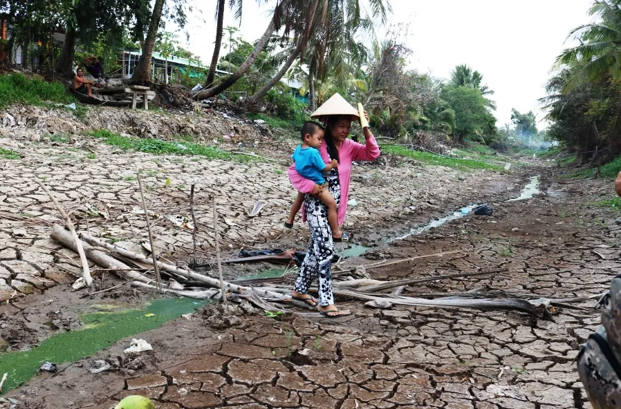 Hơn 58.000ha lúa ở ĐBSCL bị thiệt hại do hạn mặn