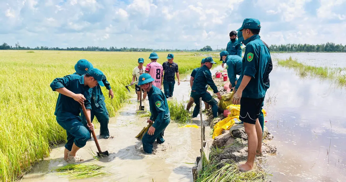 Lũ ở Đồng Tháp Mười: Hỗ trợ người dân 
