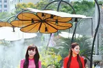 Bâng khuâng tảo mộ ngày xuân