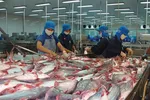 Những thách thức ngành hàng cá tra phải đối mặt trong năm 2022