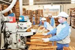 Ngành gỗ 'ghè' thị phần với Trung Quốc từ nội địa đến thị trường Mỹ