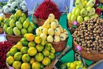 Xuất khẩu rau, quả dự báo vượt mốc 8 tỷ USD