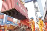 TPHCM: Tìm giải pháp tháo gỡ thủ tục cho doanh nghiệp