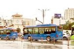 TPHCM ưu tiên phát triển giao thông công cộng xanh