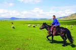 Chu du đến thảo nguyên vô tận Mông Cổ