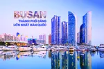 Cuộc sống nhộn nhịp bên bờ biển yên ả Busan 