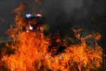 Gió mạnh làm gia tăng cháy rừng ở Australia