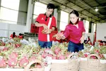 Xuất khẩu nông sản, thực phẩm đạt gần 34 tỷ USD