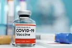 Các địa phương chuẩn bị hạ tầng tiếp nhận lượng vaccine lớn