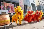 TPHCM: Đề xuất đưa Lân Sư Rồng là Di sản văn hóa phi vật thể quốc gia
